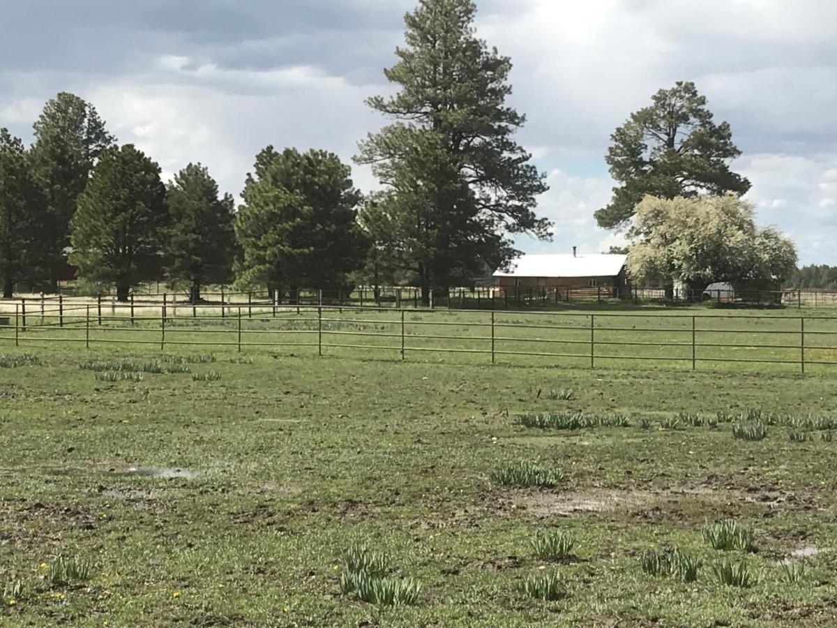Grand Canyon Cottage At Historic Wrigley Ranch With Horseback Riding & Shooting Parks Exterior photo